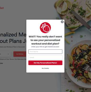 Next Level Diet exit intent popup